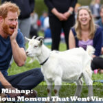Goat Yoga Mishap