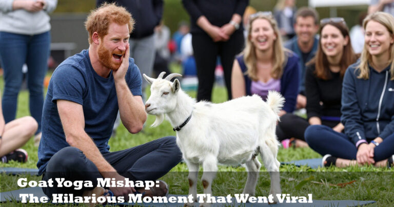 Goat Yoga Mishap
